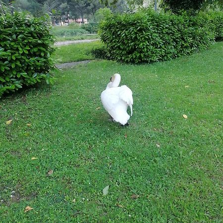 La Cannucciola Piediluco Ngoại thất bức ảnh